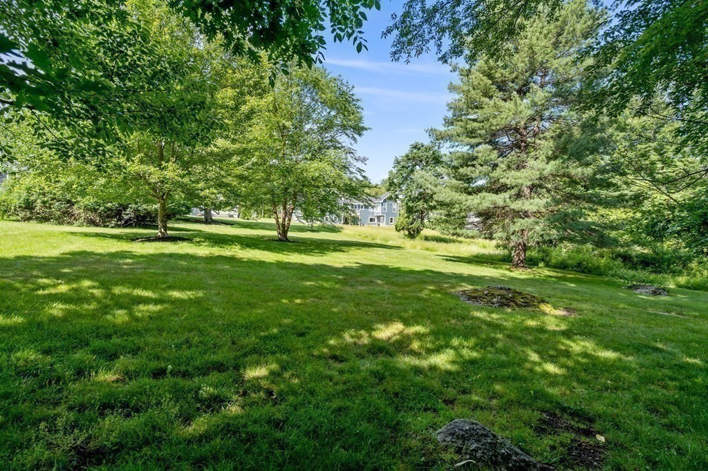 60 Ridgewood Road Milton, MA 02186 - Photo 26 of 30 Gallery Image 26