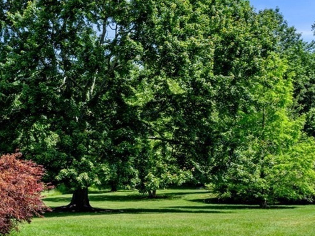 60 Ridgewood Road Milton, MA 02186 - Photo 27 of 30 Gallery Image 27