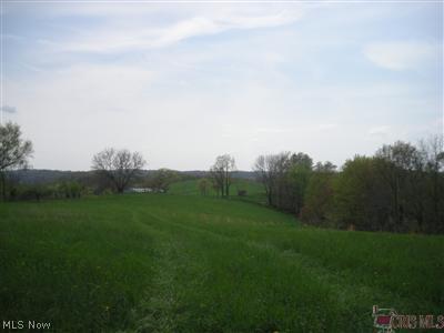 9999 Kilgore Ridge Road Scio, OH 43988 - Photo 1 of 1 Gallery Image 1