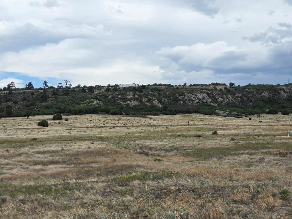 Lot 129 Rosemoore Drive Rye, CO 81069 - Photo 3 of 13