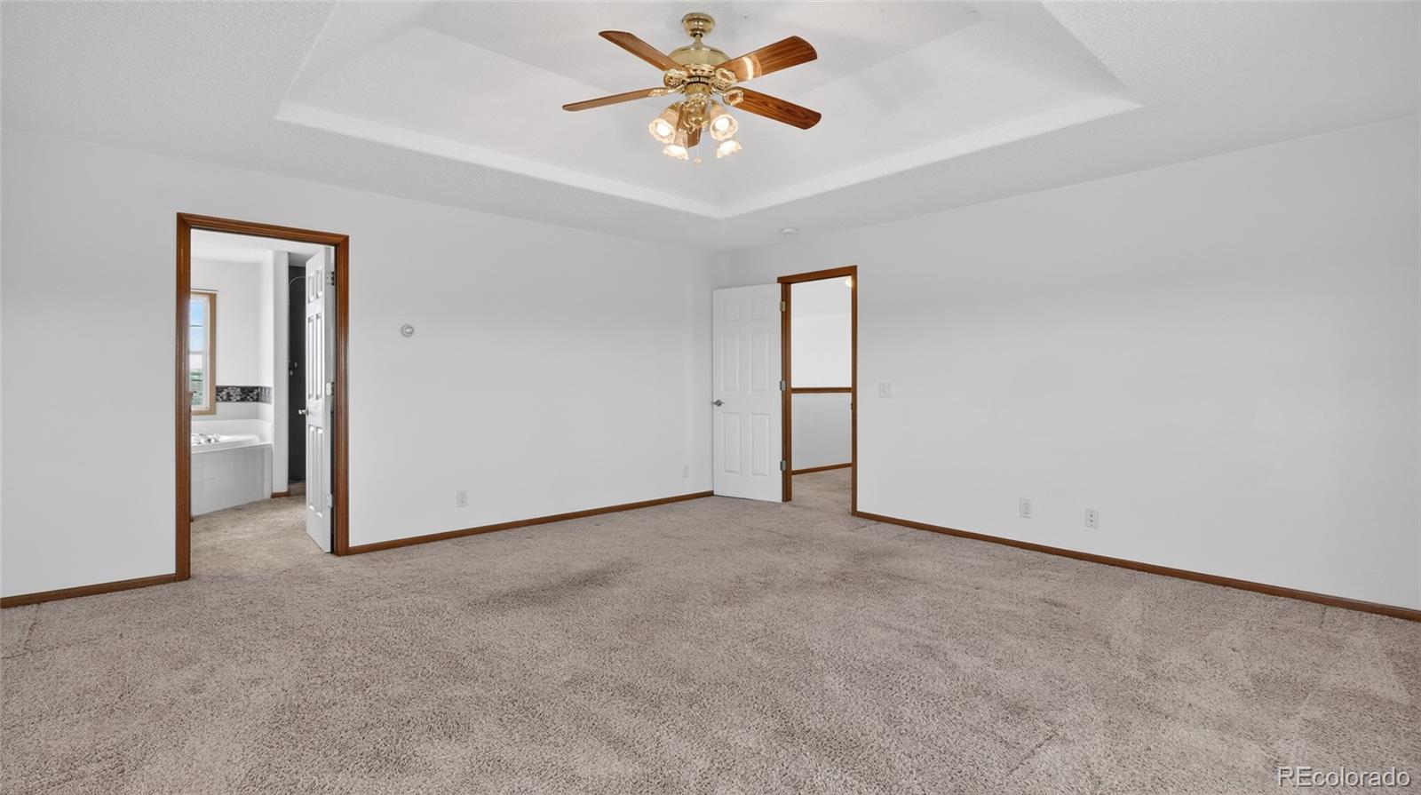 44166 East Iliff Trail Bennett, CO 80102 - Photo 24 of 50 an empty room with closet and a chandelier fan