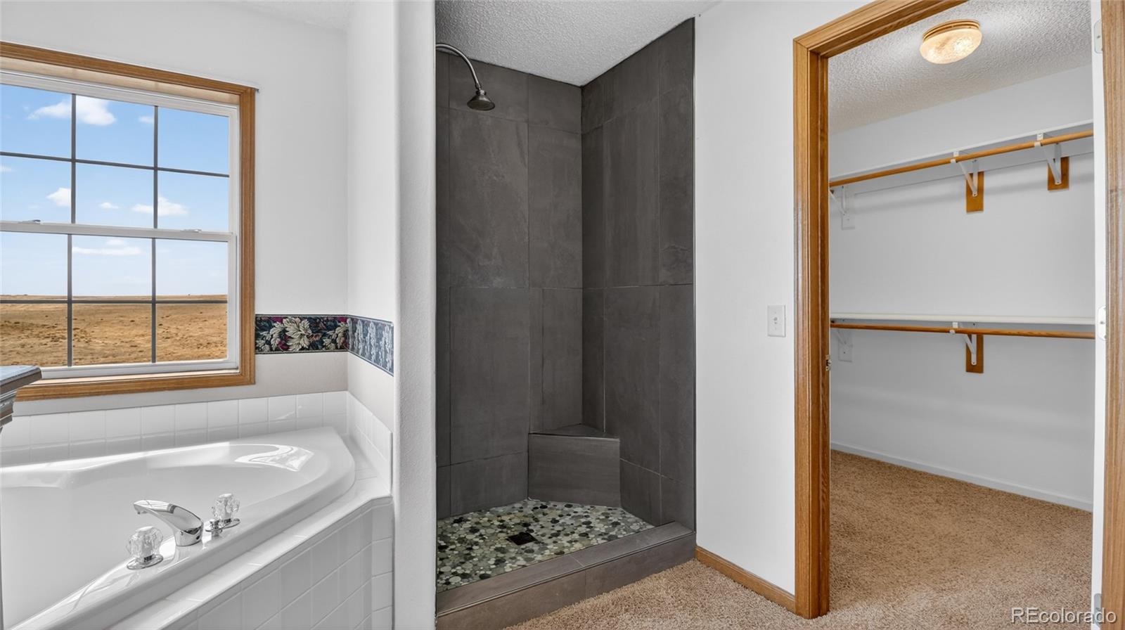 44166 East Iliff Trail Bennett, CO 80102 - Photo 27 of 50 a bathroom with a tub sink and shower