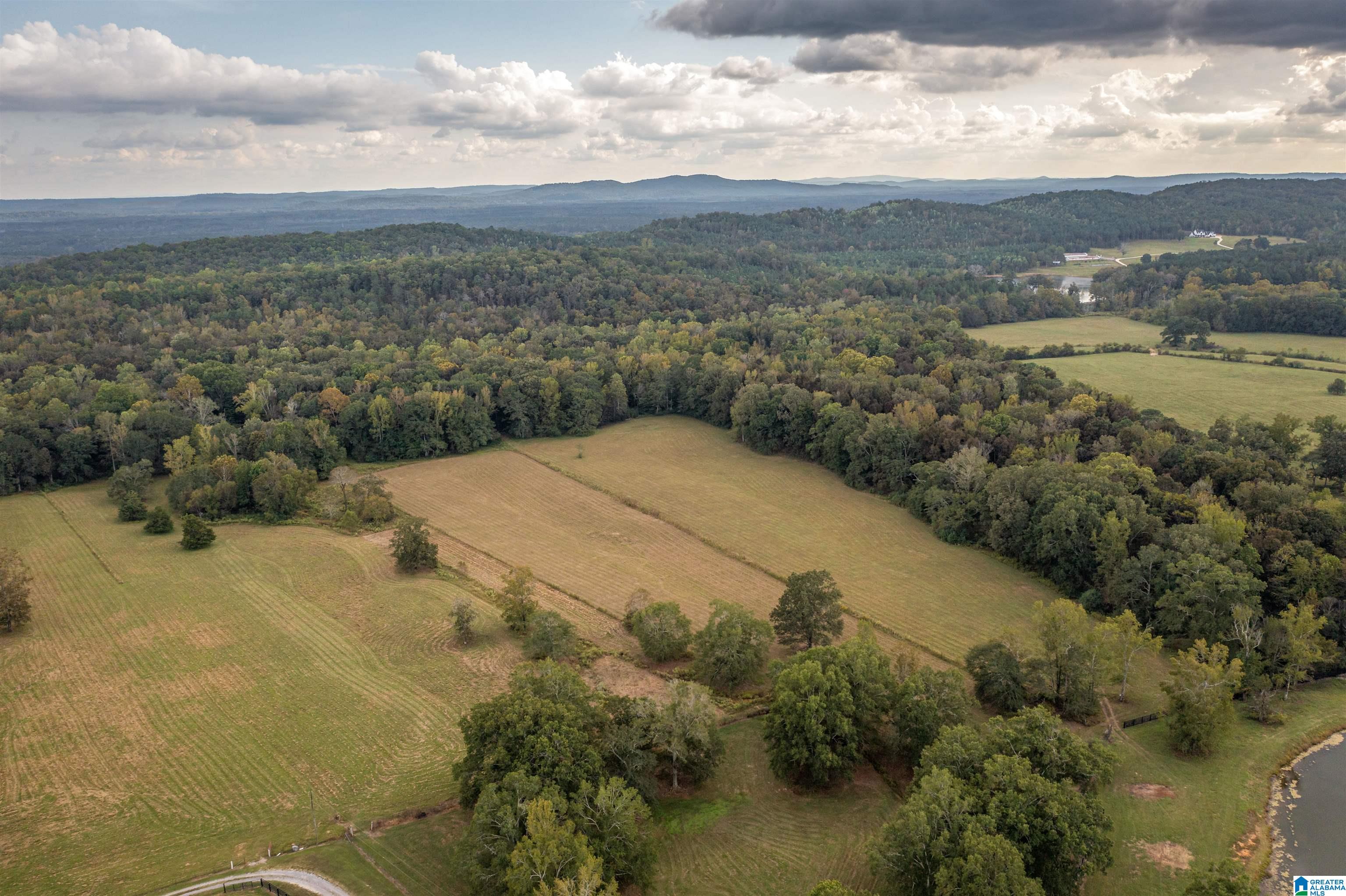 4892 Crawford Cove Road Springville, AL 35146 - Photo 31 of 50