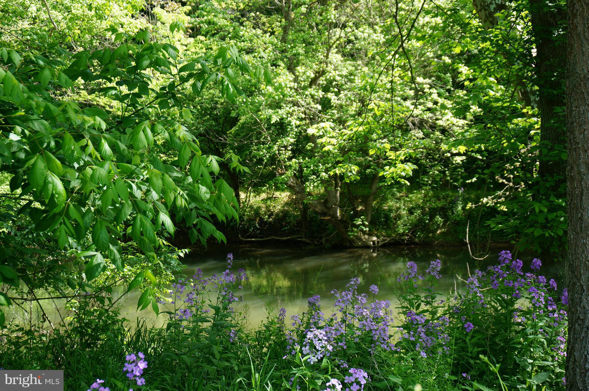 19034 Manor Church Road Boonsboro, MD 21713 - Photo 17 of 30 Borders Antietam Creek