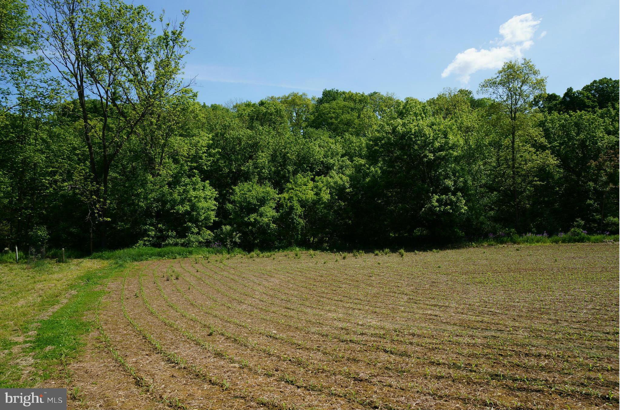 19034 Manor Church Road Boonsboro, MD 21713 - Photo 21 of 30 Bottom Land In Rear Of Lot/Land