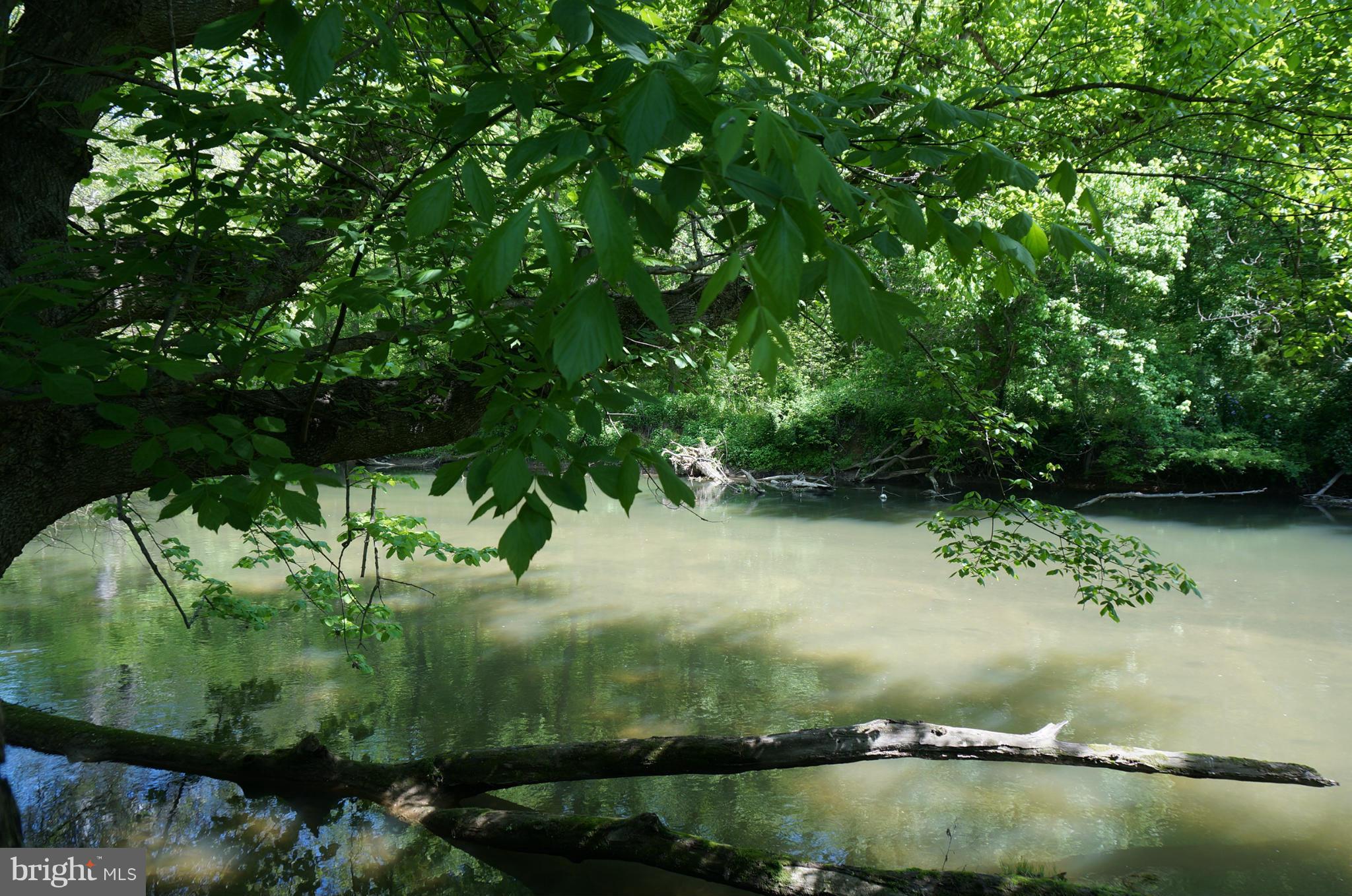 19034 Manor Church Road Boonsboro, MD 21713 - Photo 24 of 30 Borders Antietam Creek
