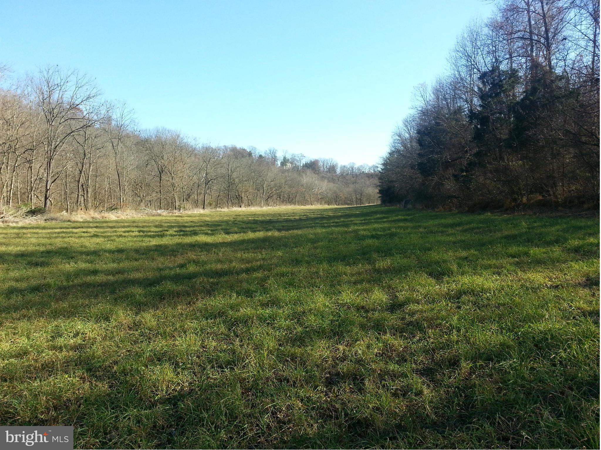 19034 Manor Church Road Boonsboro, MD 21713 - Photo 5 of 30 Bottom Land-Antietam Creek On Left, Woods On Right