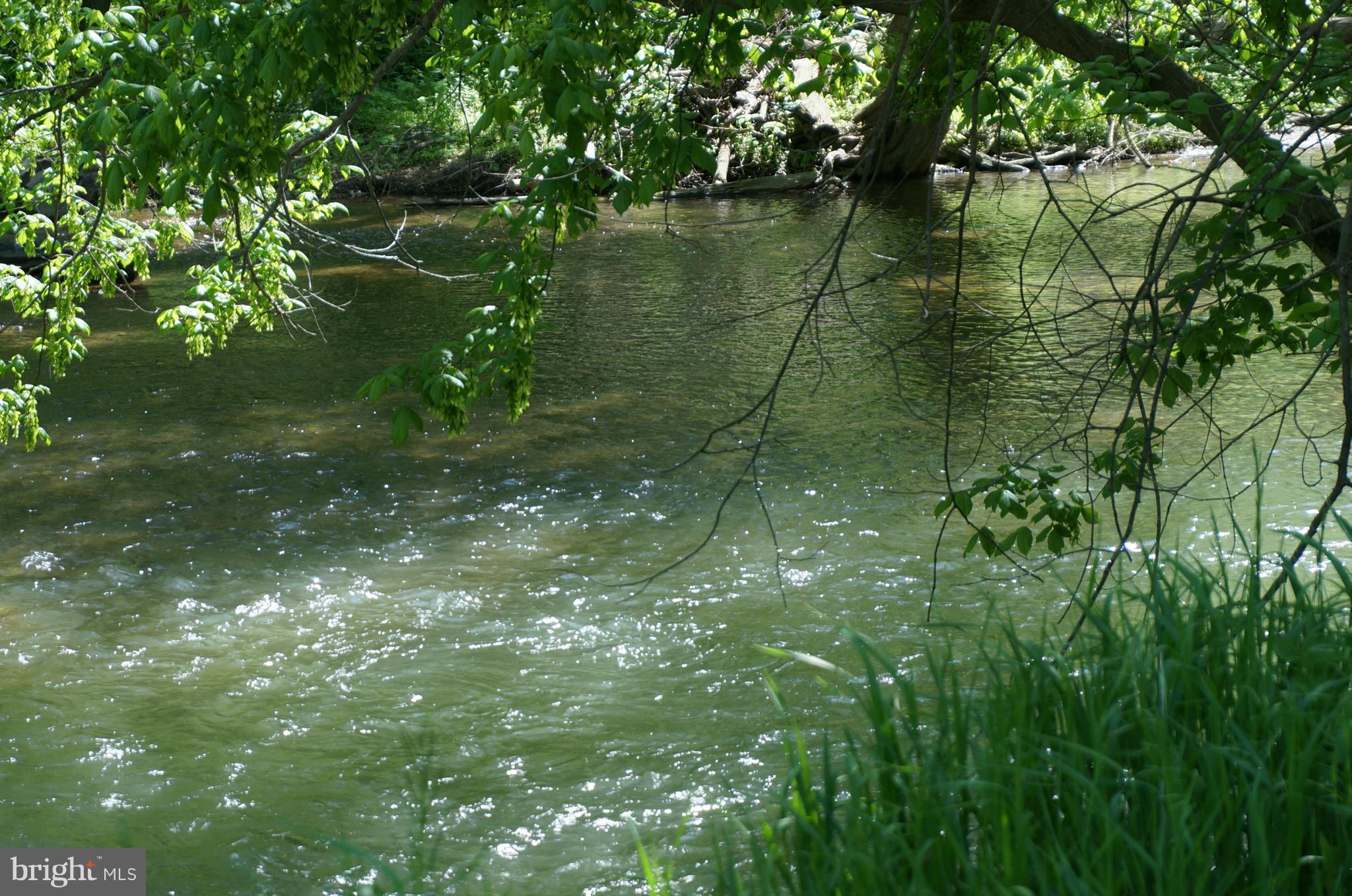 19034 Manor Church Road Boonsboro, MD 21713 - Photo 6 of 30 Over 900 /- Feet Bordering Antietam Creek