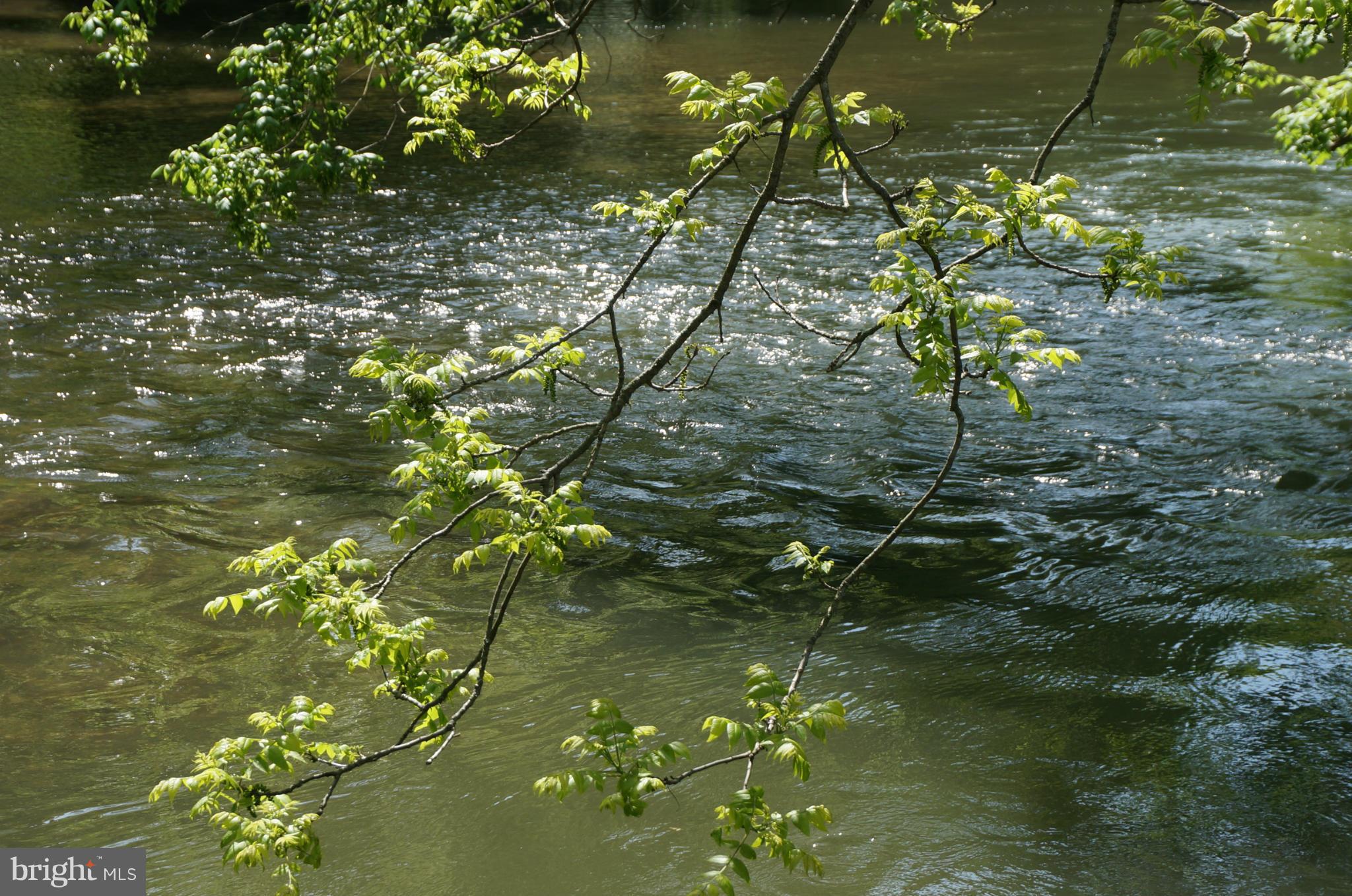 19034 Manor Church Road Boonsboro, MD 21713 - Photo 7 of 30 Over 900 /- Feet Bordering Antietam Creek