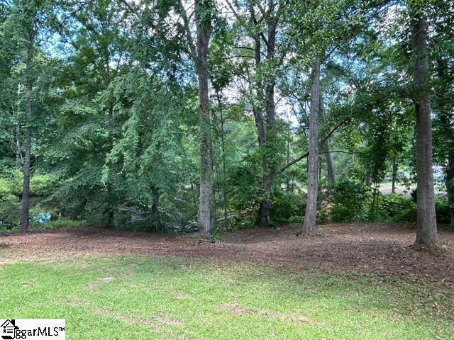 309 Lakeview Drive Laurens, SC 29360 - Photo 9 of 31