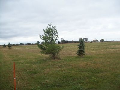 Lot 2 Gorman Road Mazon, IL 60444 - Photo 2 of 3 a view of an ocean with beach