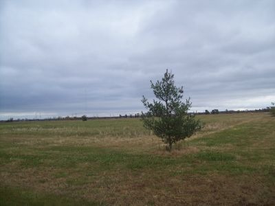 Lot 2 Gorman Road Mazon, IL 60444 - Photo 3 of 3