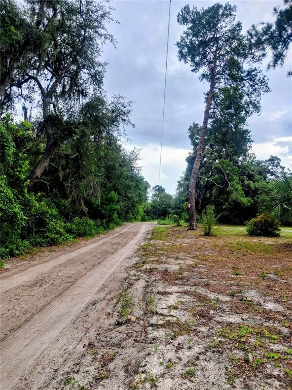 44137 Jeffrey Road DeLand, FL 32720 - Photo 3 of 3