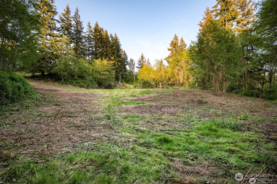 6920 Fisher Road Edmonds, WA 98026 - Photo 5 of 9 a view of outdoor space with trees all around