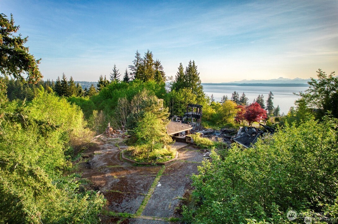 6920 Fisher Road Edmonds, WA 98026 - Photo 8 of 9 a view of a garden with plants and large trees