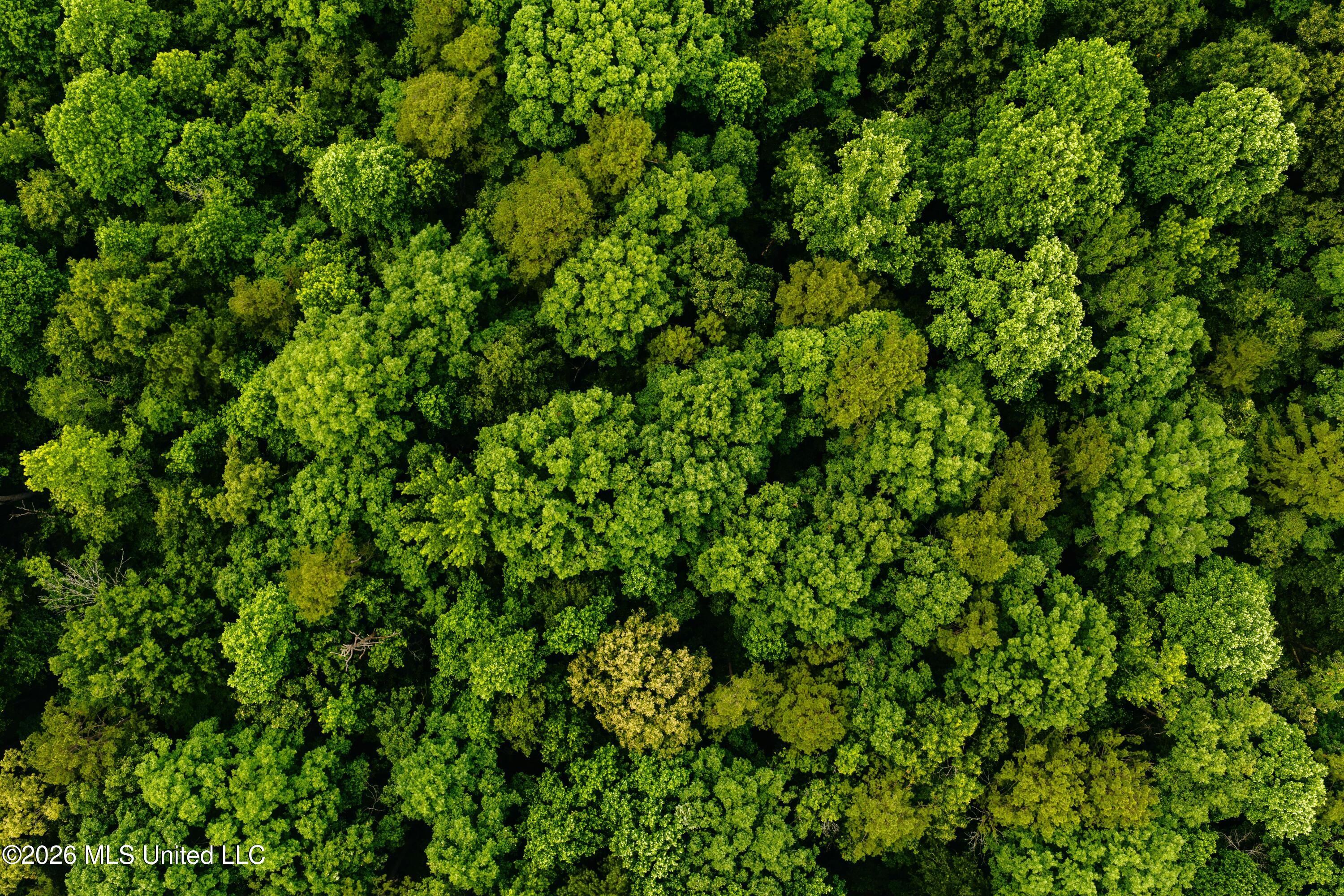 10843 Reservation Road Philadelphia, MS 39350 - Photo 20 of 42 DJI_20260523042634_0500_D