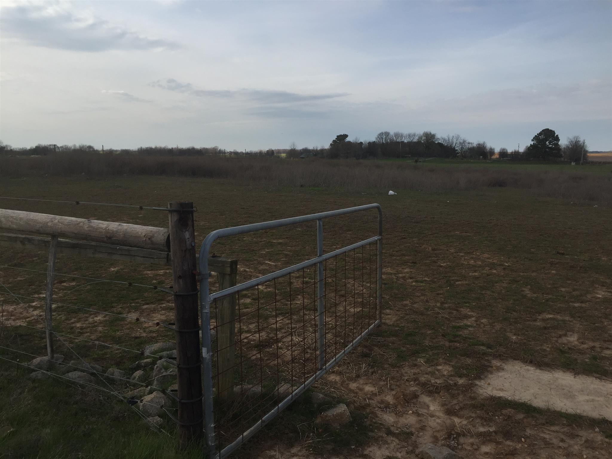 6996 North Pinson Road Portland, TN 37148 - Photo 14 of 17 Gallery Image 14