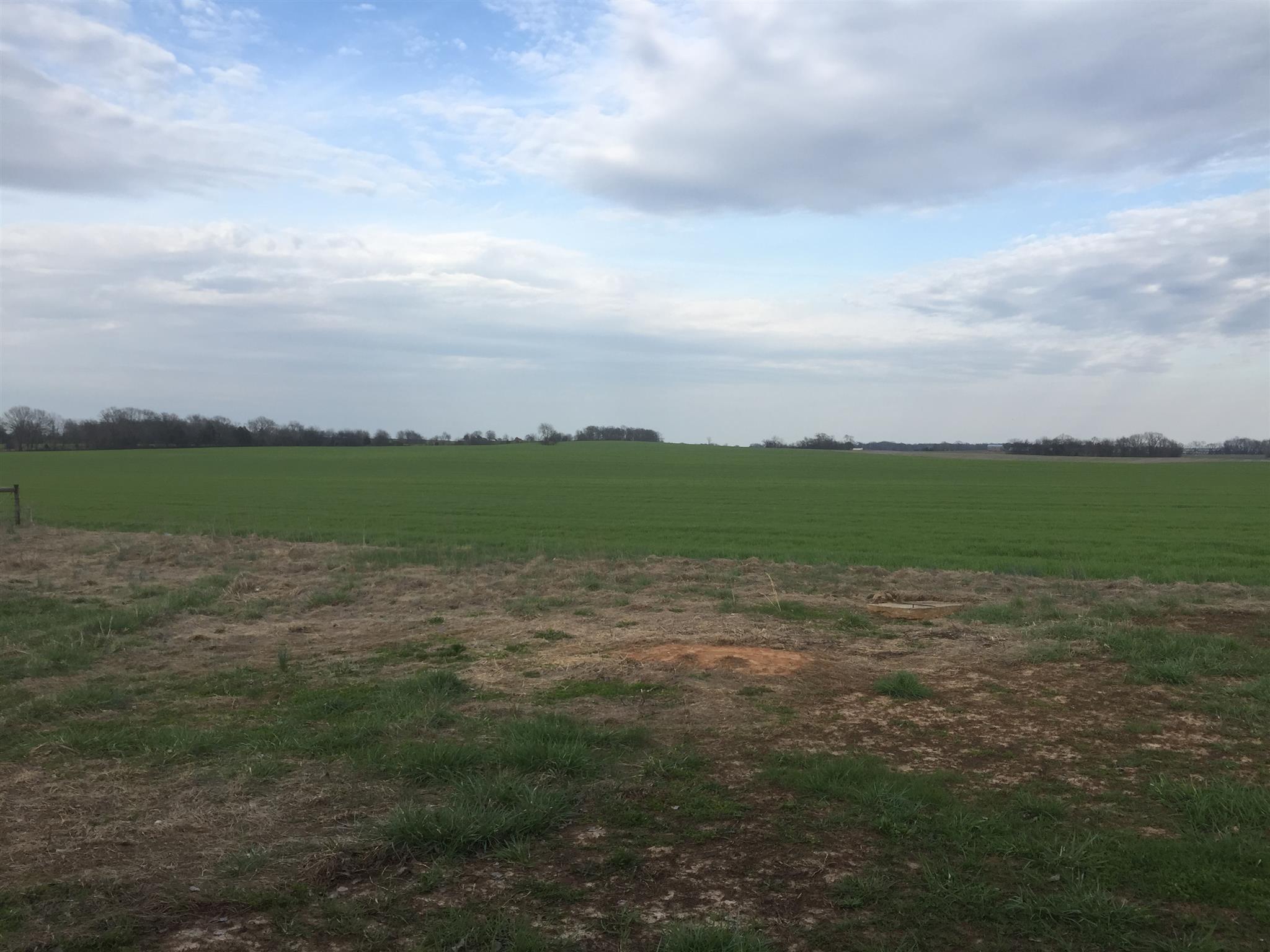 6996 North Pinson Road Portland, TN 37148 - Photo 15 of 17 Gallery Image 15