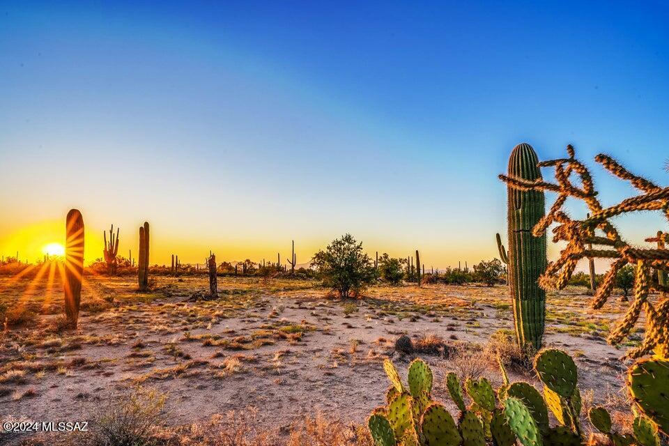 10990 West Rudasill Road Tucson, AZ 85743 - Photo 2 of 11 Gallery Image 2