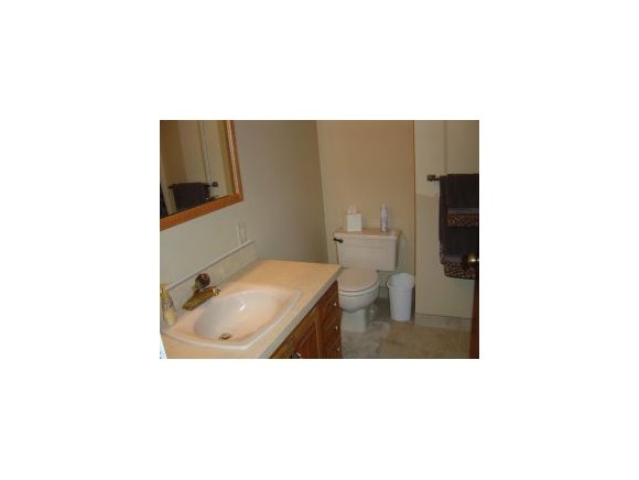309 Powderhouse Road Vestal, NY 13850 - Photo 10 of 12 Gallery Image 10