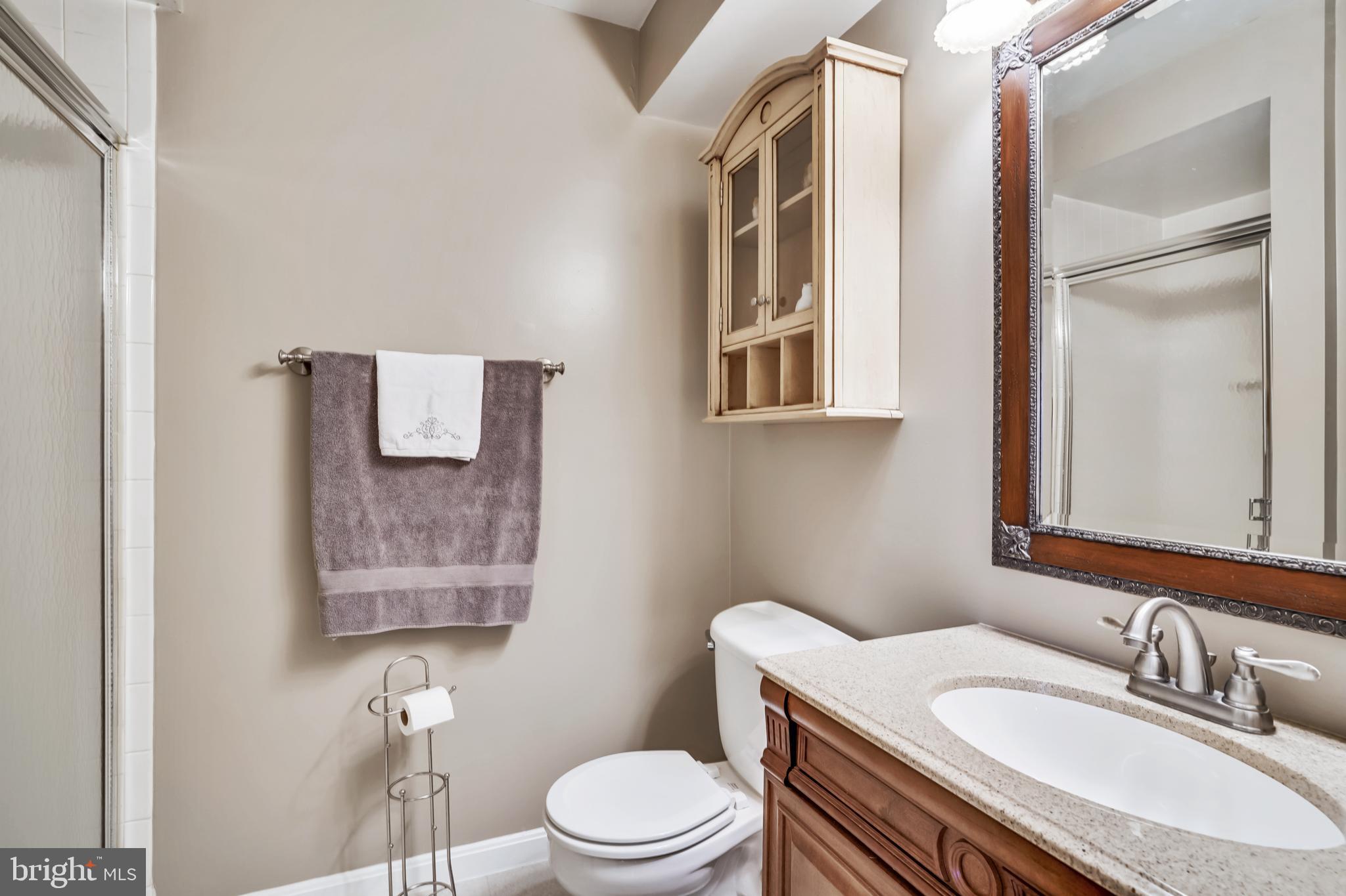 8000 Readington Court Springfield, VA 22152 - Photo 35 of 47 Lower Level Bath
