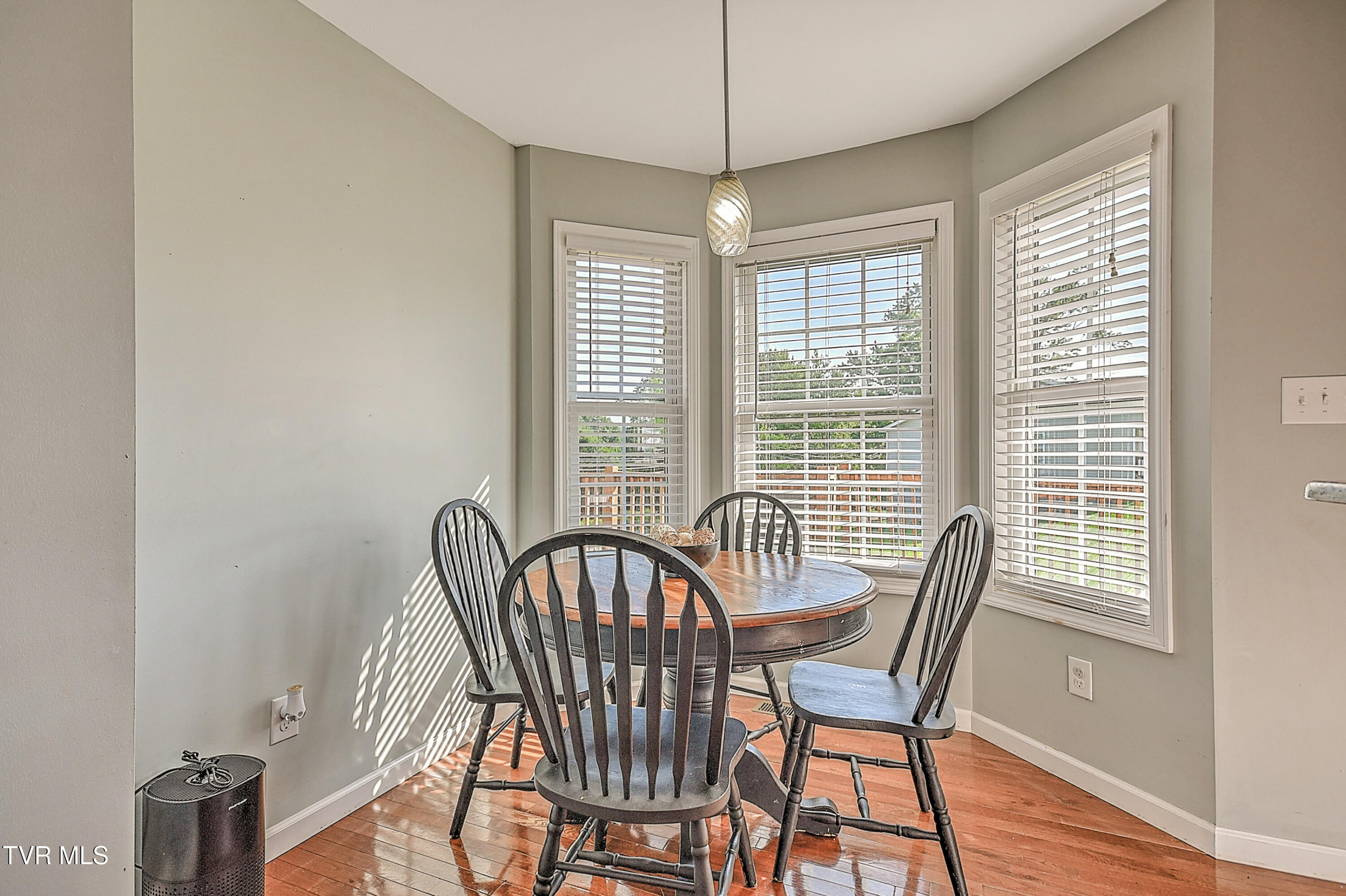 517 West Glade Street Glade Spring, VA 24340 - Photo 16 of 68 517 W Glade St DOM-15