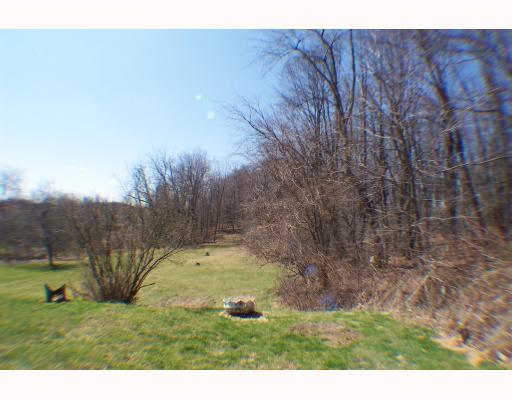 2279-2281 Brodhead Road Aliquippa, PA 15001 - Photo 2 of 8 Yard/Garden.