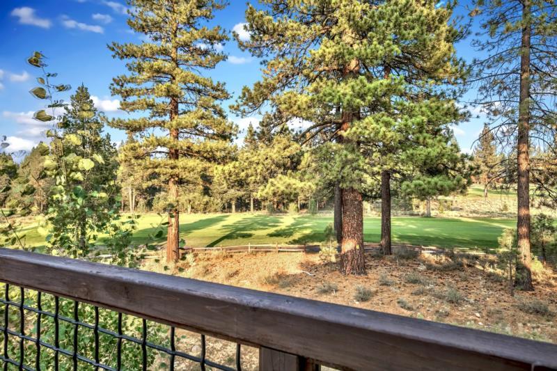 10175 Annies Loop Truckee, CA 96161 - Photo 5 of 21