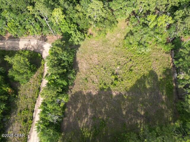 755 Watson Road Freeport, FL 32439 - Photo 10 of 16