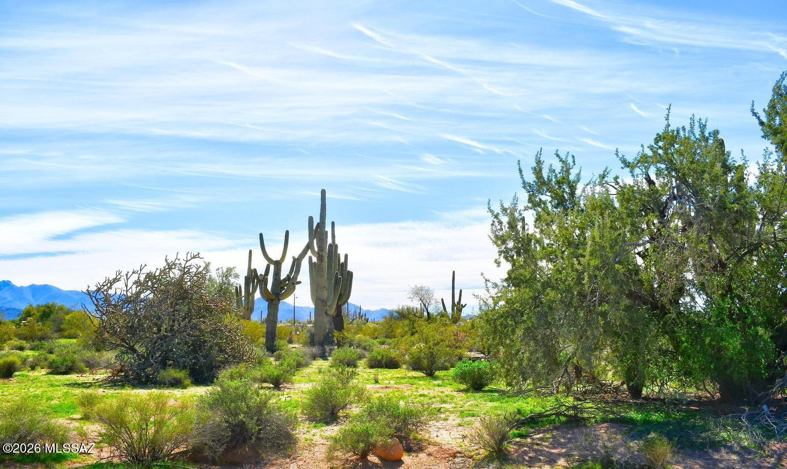 7330 North Sandario Road, Unit 3 Tucson, AZ 85743 - Photo 5 of 14 pic. 4