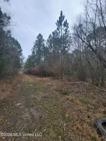 $25,500 | 17 34th Avenue, Gulfport, MS 39501