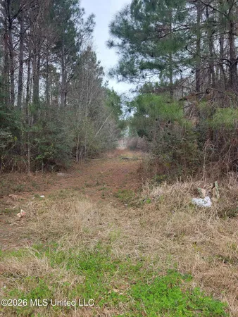 $25,500 | 17 34th Avenue, Gulfport, MS 39501