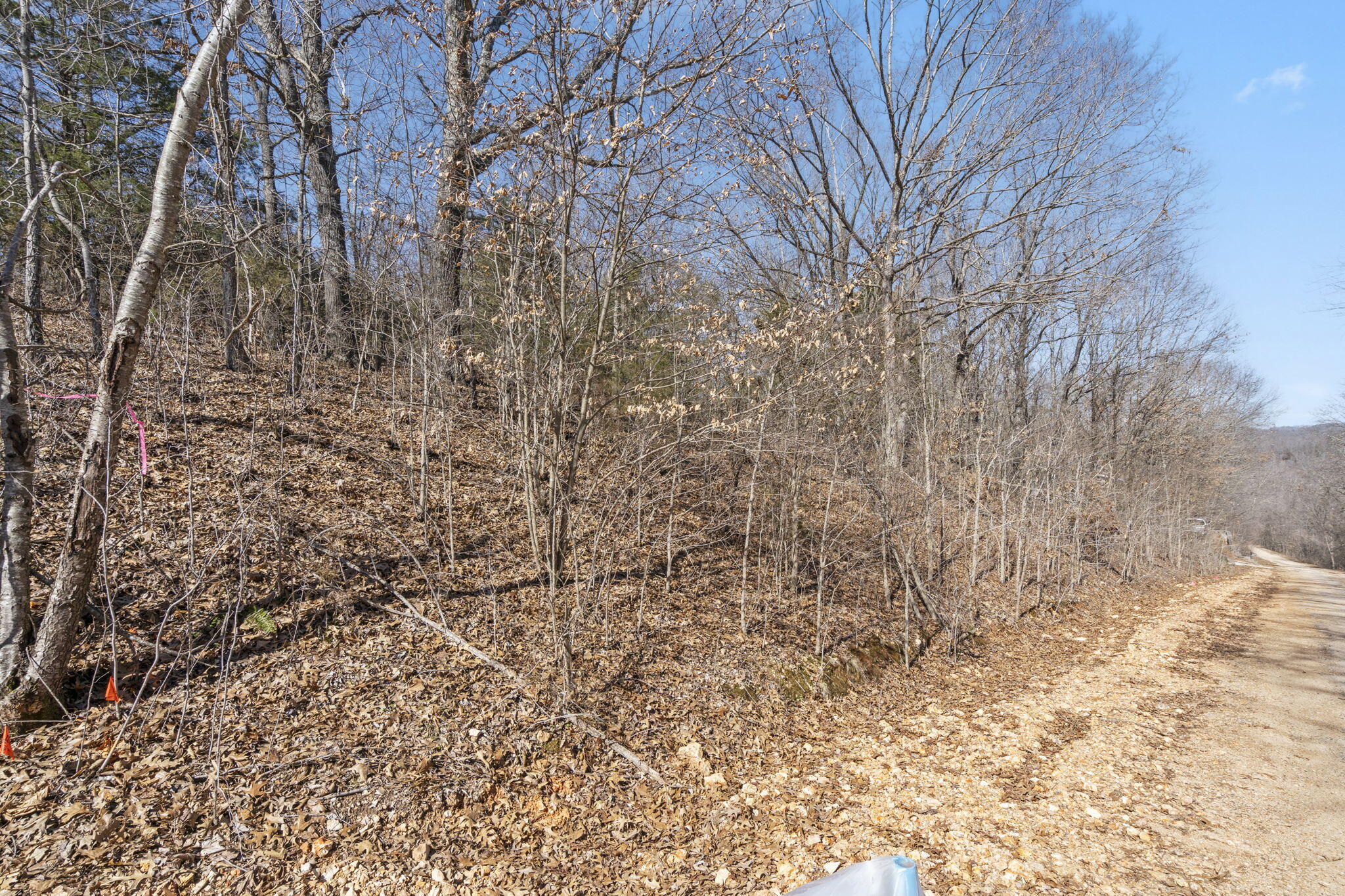 Lot 8 Middlegate Pl Branson Place Reeds Spring, MO 65737 - Photo 13 of 24 Table Rock Lake Build Site