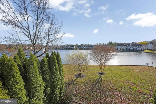 a view of a lake with a city