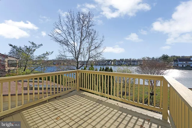 a view of a wooden deck with large trees