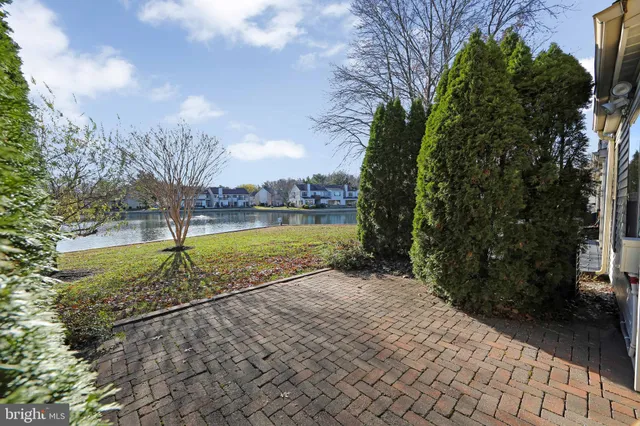 a view of a yard with palm trees
