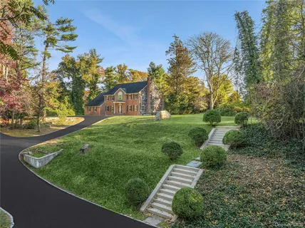 a view of a garden with plants and large trees