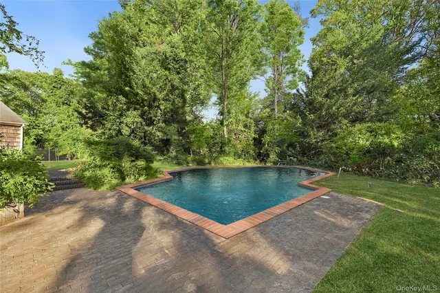 a view of a backyard with plants and large trees