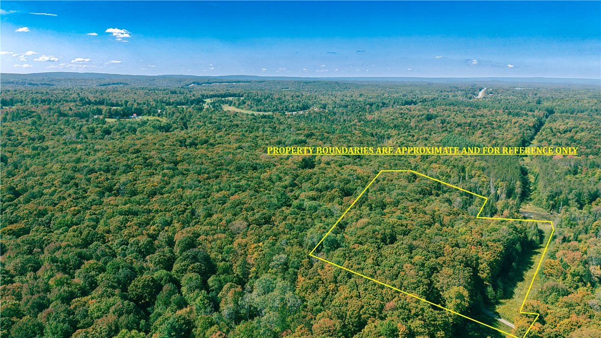 78 Dunn Brook Road Remsen, NY 13438 - Photo 3 of 10