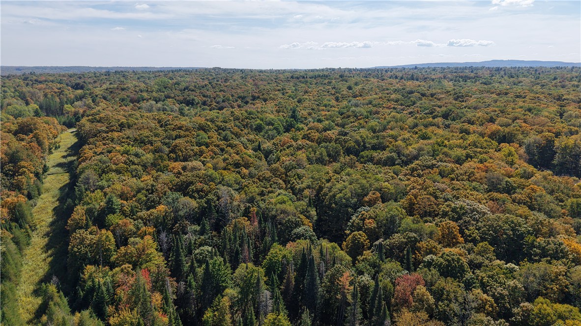 78 Dunn Brook Road Remsen, NY 13438 - Photo 4 of 10