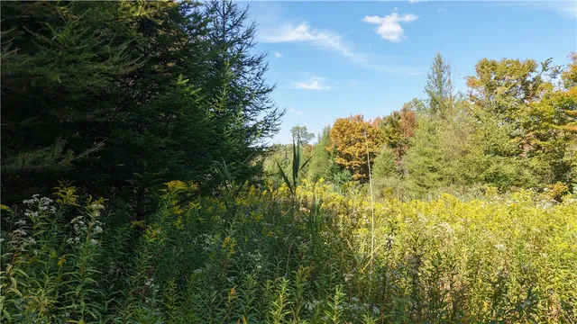 $69,900 | 78 Dunn Brook Road, Remsen, NY 13438