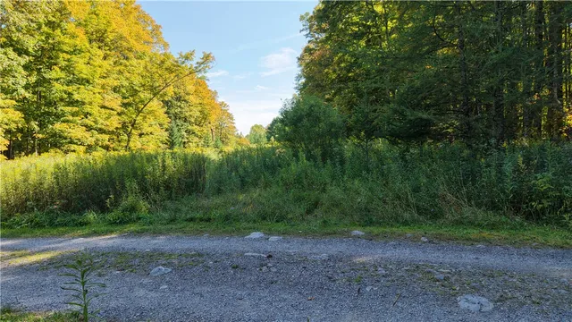 $69,900 | 78 Dunn Brook Road, Remsen, NY 13438