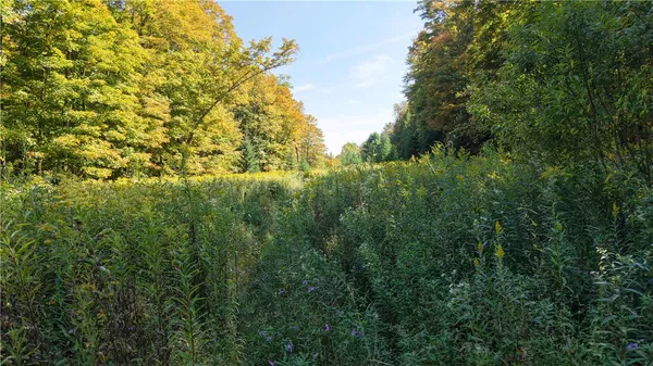 $61,900 | 78 Dunn Brook Road, Remsen, NY 13438