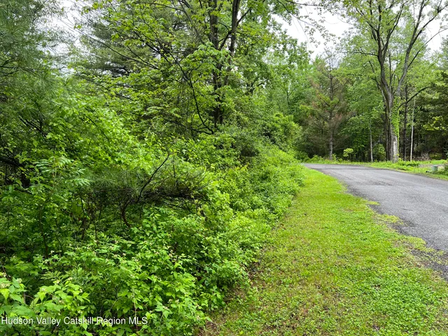 a view of a yard with a tree