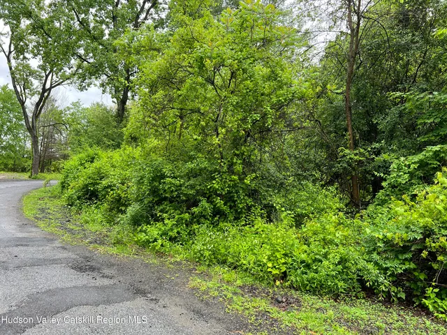 a view of a garden with plants