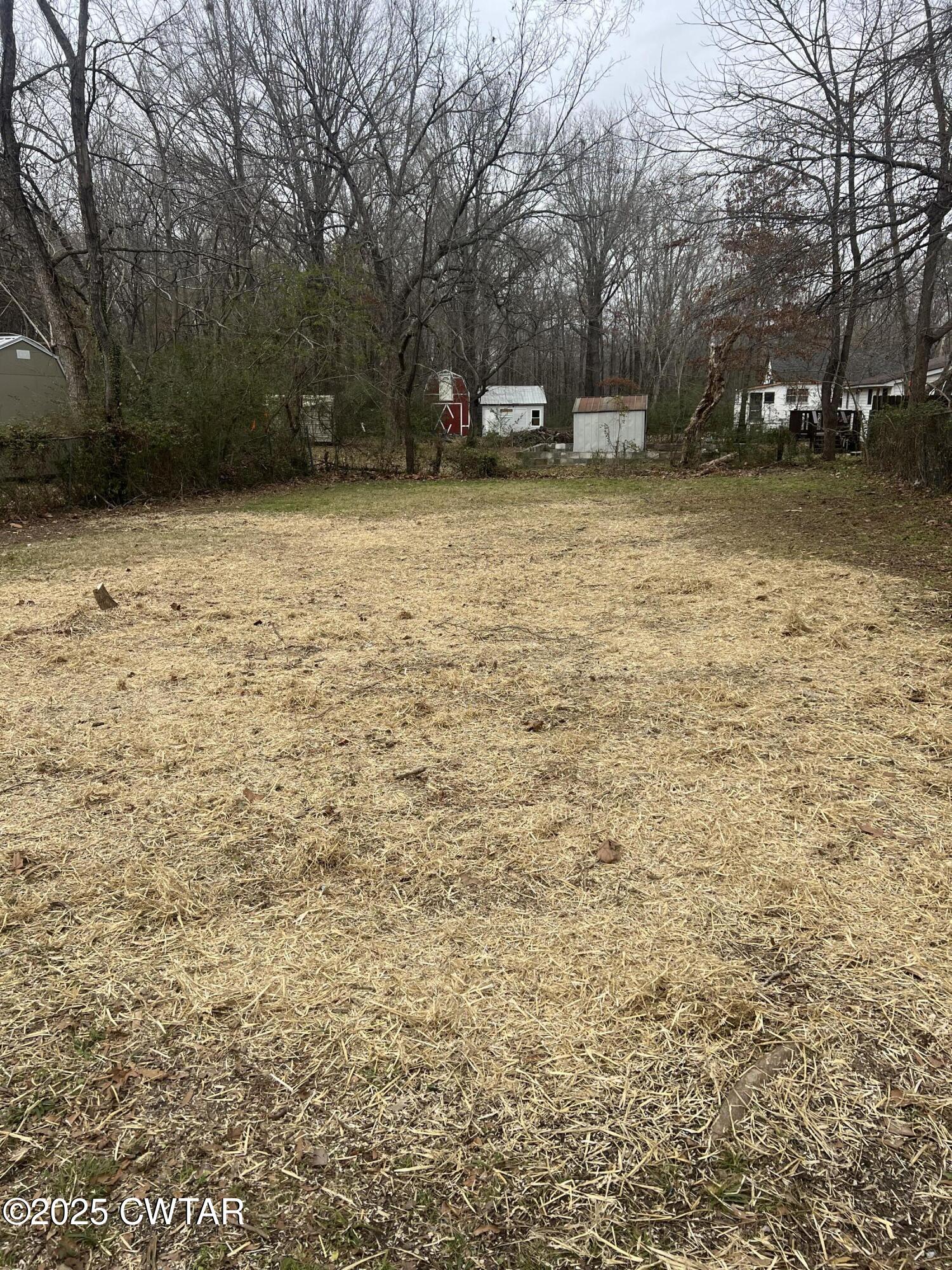 93 Carroll Street Jackson, TN 38301 - Photo 13 of 16 IMG_1984