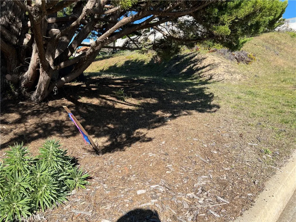 0 Chelsea Lane Cambria, CA 93428 - Photo 17 of 20 a view of a tree
