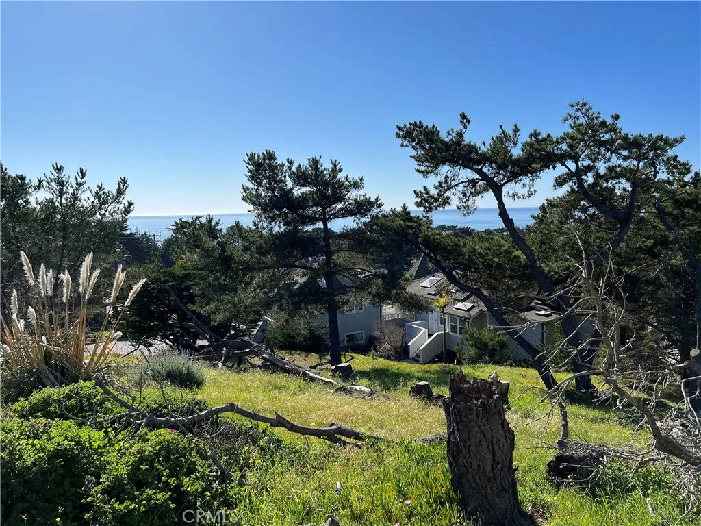 0 Chelsea Lane Cambria, CA 93428 - Photo 2 of 20 a backyard of a house with lots of green space