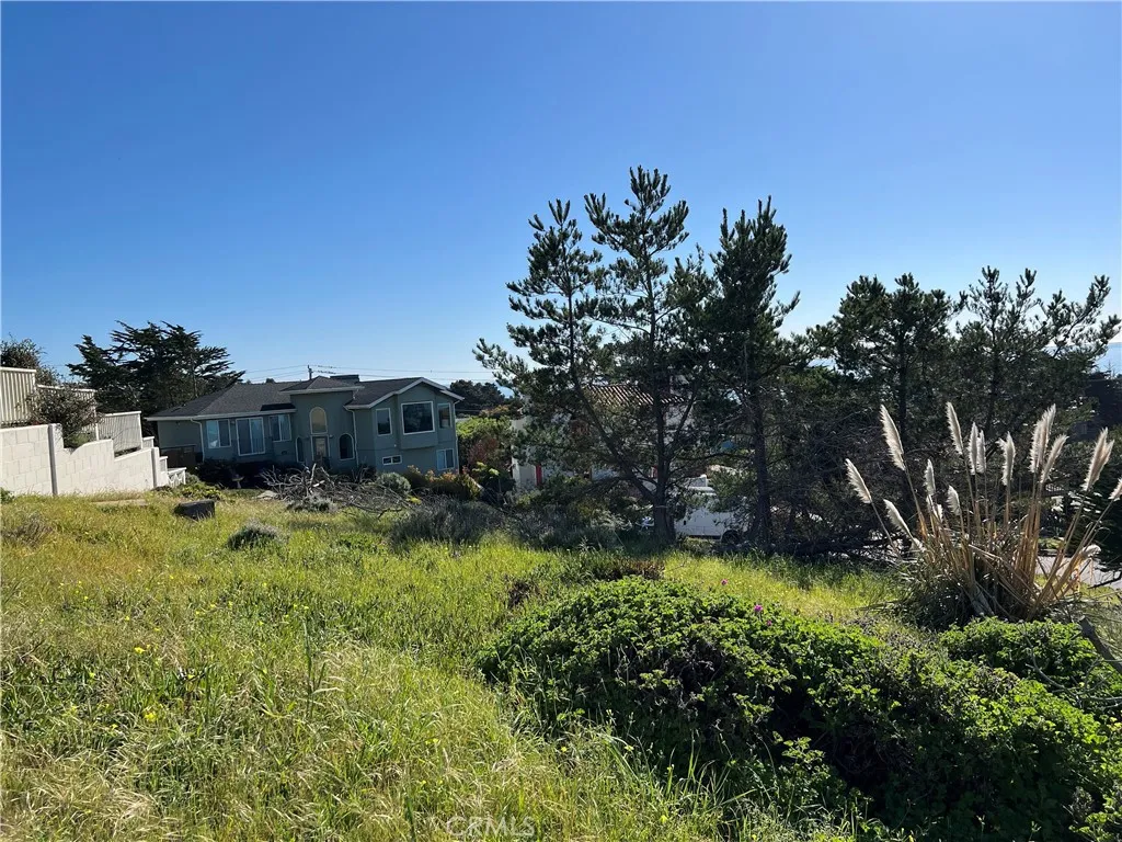 0 Chelsea Lane Cambria, CA 93428 - Photo 10 of 20 a yard with lots of green space