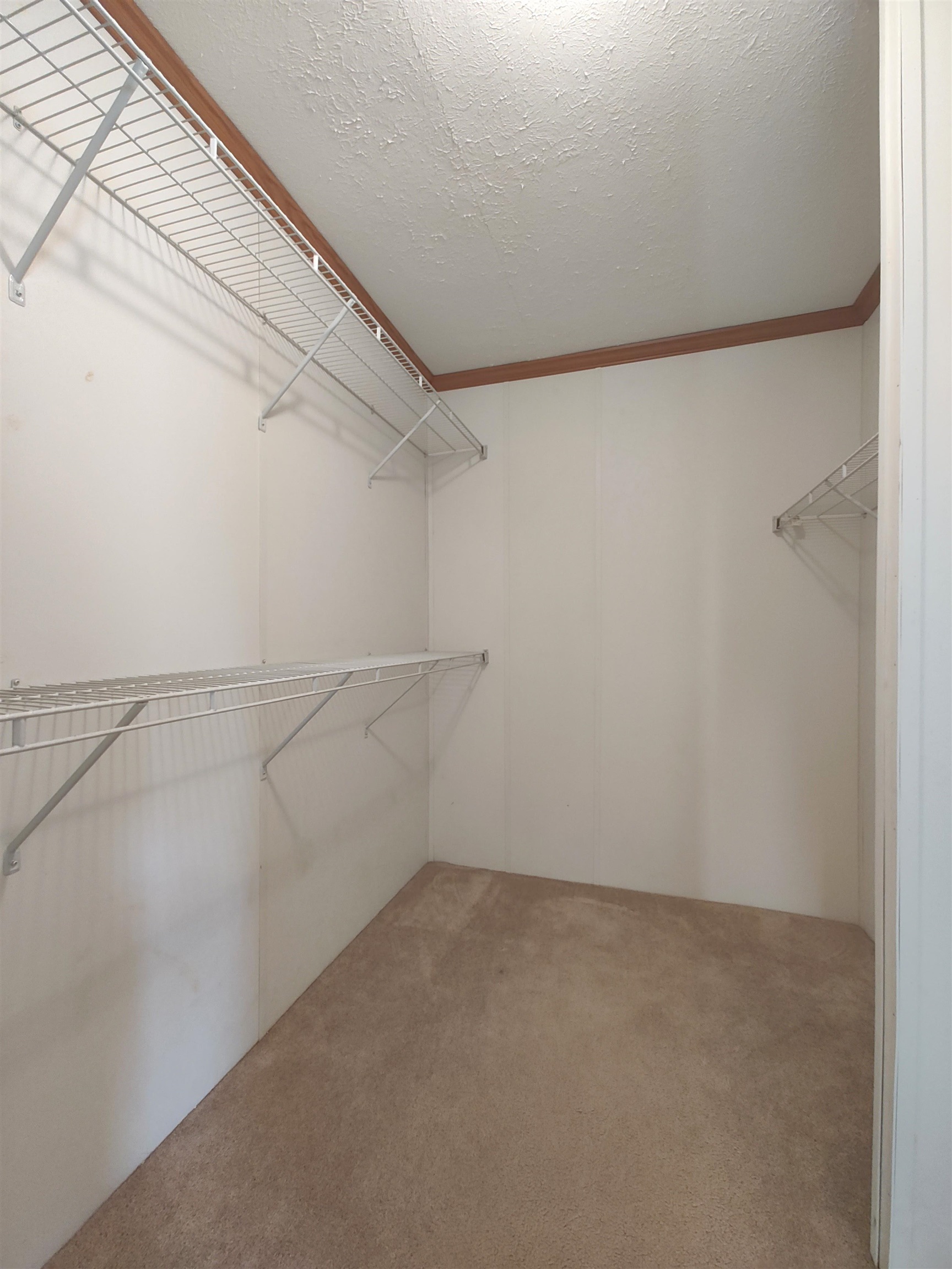 8 Rudman Drive Rochester, NH 03839 - Photo 24 of 29
